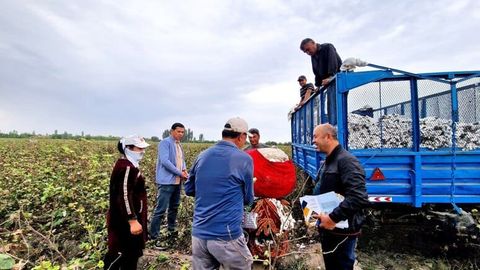 Paxta mavsumida eng ko&lsquo;p shikoyat terim pullari o&lsquo;z vaqtida berilmasligi yuzasidan bo&lsquo;ldi &mdash; Mehnat inspeksiyasi&nbsp;