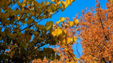O&lsquo;zbekistonda haftaning ikkinchi yarmida harorat ko&lsquo;tariladi