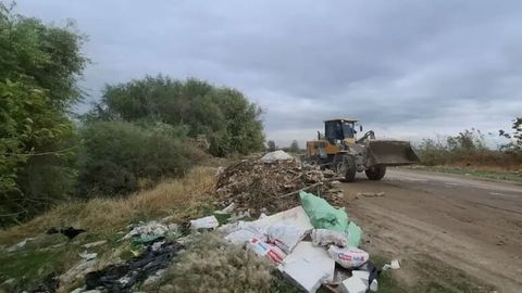 Toshkent viloyatida huquqbuzar o&lsquo;zi tashlagan chiqindini o&lsquo;zi tozaladi