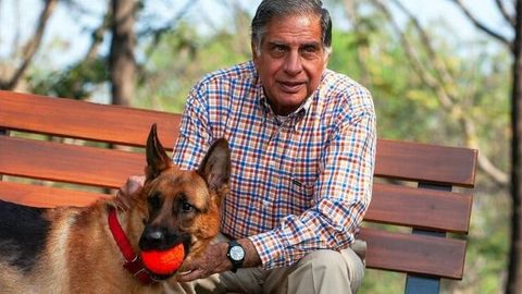 Hindistonlik millioner Ratan Tata barcha boyligini itiga meros qoldirdi