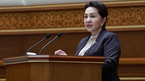 &ldquo;Ombudsman ijro organlarini mas&rsquo;uliyatga chaqirish to&lsquo;g&lsquo;risida Oliy Majlis palatasiga biror marta axborot kiritmagan&rdquo; &mdash; Tanzila Norboyeva&nbsp;