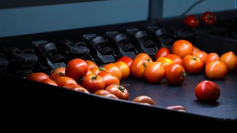 Астана ожидает, что ограничения на ввоз казахстанской продукции в Россию будут сняты в течение недели&nbsp;