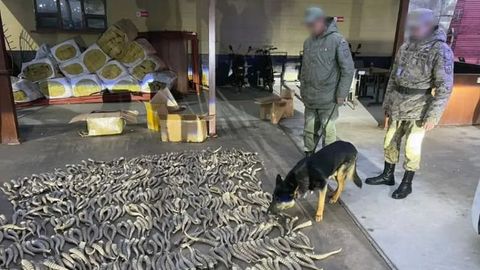На границе Казахстана задержали 57 иностранцев за попытку незаконного пересечения
<!--[endif]-->
&nbsp;