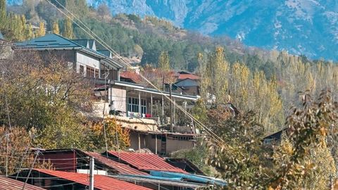 Foto: Kuzgi So&lsquo;qoqqa yo&lsquo;l