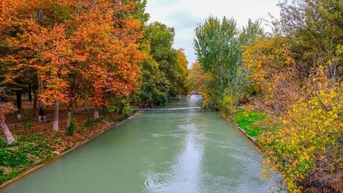 Ўзбекистонда 8 ноябрь куни қандай об-ҳаво бўлиши маълум қилинди
