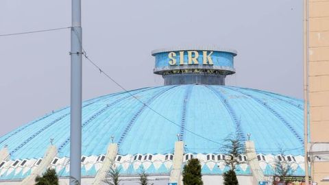 O&lsquo;zbekistonda sirkda yovvoyi hayvonlardan foydalanish taqiqlanadi