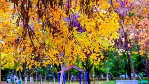 O&lsquo;zbekistonda dam olish kunlari nisbatan salqin ob-havo bo&lsquo;ladi
