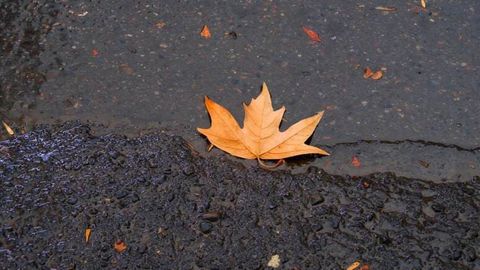 Ўзбекистоннинг айрим ҳудудларида 18 ноябрь куни ёмғир ёғади&nbsp;