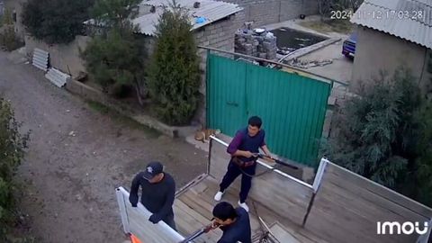Piskentda itlar otilgani bo&lsquo;yicha ma&rsquo;lumot berildi