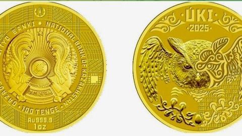 Kazakhstan&rsquo;s National Bank to introduce new digital investment coin&nbsp;