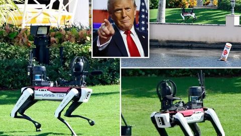 Tramp qarorgohini robot itlar qo&lsquo;riqlamoqda (video)