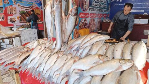 Amudaryoniki qimmat: Afg&lsquo;onistonda baliq mavsumi qanday kechmoqda?