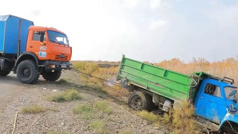 Buxorodagi cho&lsquo;llardan saksovul sindirib olib ketayotgan shaxslarga qariyb 40 mln so&lsquo;m jarima belgilandi