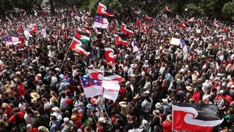 Yangi Zelandiyada mahalliy maori xalqi huquqlarini qo&lsquo;llab-quvvatlash uchun namoyishlar bo&lsquo;lib o&lsquo;tdi