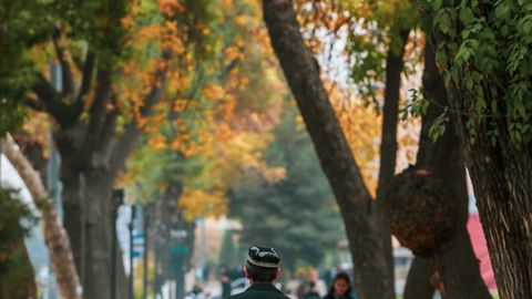 O&lsquo;zbekistonda aholi jon boshiga daromad 3 ming dollarga yetishi kutilmoqda