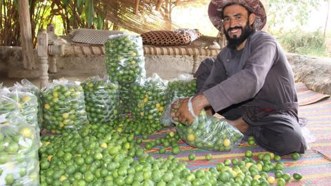 EU funds $16.2mn for Afghanistan&rsquo;s community resilience programme to strengthen agriculture and livelihoods&nbsp;