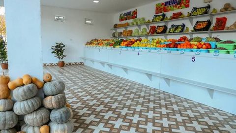 Uzbekistan ranks third in global apricot exports for second consecutive year&nbsp;