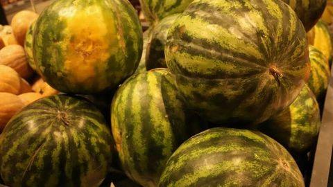 Uzbekistan&rsquo;s 2024 melon harvest sets record as agricultural exports surpass $1bn&nbsp;