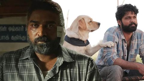Gollivud filmlaridan qolishmaydi: yuqori reytinglarni egallagan yangi hind filmlari (treyler)