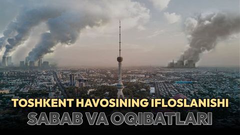 Stress va depressiya &ldquo;o&lsquo;chog&lsquo;i&rdquo;ga aylanib qolgan shahar: Toshkent havosi ifloslanishining sabab va oqibatlari