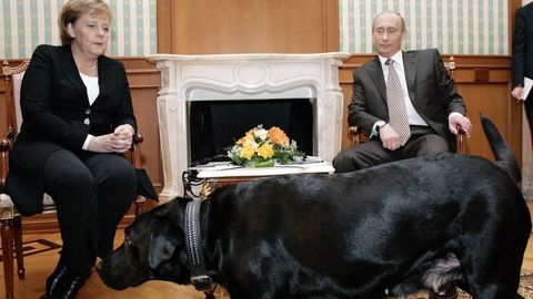 &lsquo;Angela, forgive me,&rsquo; Putin apologizes to Merkel for causing discomfort with pet dog during 2007 meeting&nbsp;