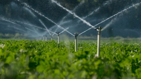 Uzbekistan approves major irrigation projects in partnership with Chinese firms&nbsp;