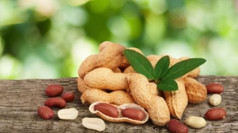 Кто покупает отечественный арахис и что повлияло на рост эспортной выручки?&nbsp;