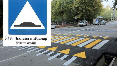 В Правила дорожного движения вводят новый знак для безопасности пешеходов