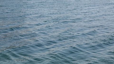 Uzbekistan's Denov district implements irrigation upgrades to save 12mn сubic meters of water&nbsp;