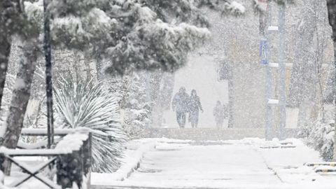 Какая погода будет в Узбекистане с субботы по понедельник - 14-16 декабря 2024 года