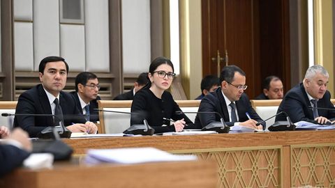 Shahnoza Mirziyoyeva zimmasiga yangi vazifa yuklatildi