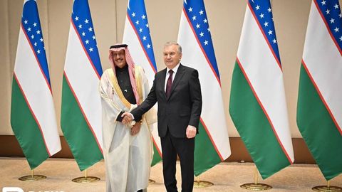 Shavkat Mirziyoyev ACWA Power kompaniyasi raisi bilan uchrashuv o&lsquo;tkazdi. Nimalar muhokama qilindi?