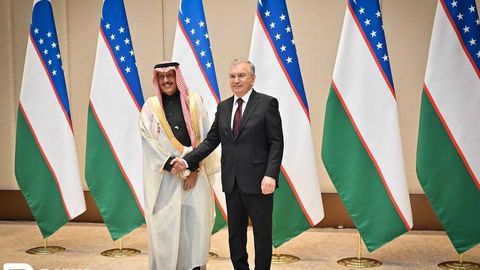 Uzbekistan's President Mirziyoyev, ACWA Power discuss expansion of green energy and infrastructure ties