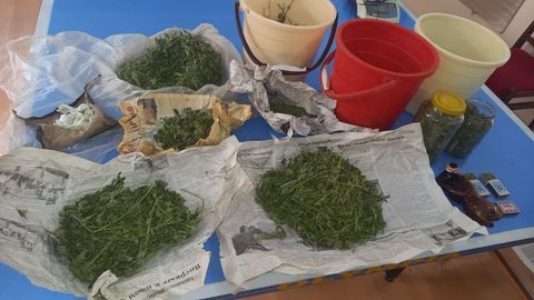 Хоразмда 6 килодан ортиқ гиёҳвандлик воситаларини сақлаётган шахслар аниқланди