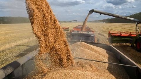 Kazakhstan boosts grain exports to Tajikistan with over 1mn tons shipped in 10M24&nbsp;
