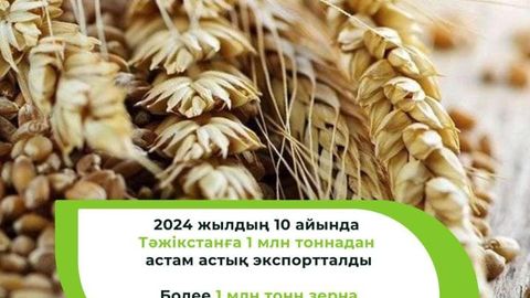 Импорт зерна из Казахстана в Таджикистан вырос на 11% за 2024 год&nbsp;