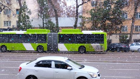 Ўзбекистоннинг қатор ҳудудларида 20 декабрь куни қор ёғади