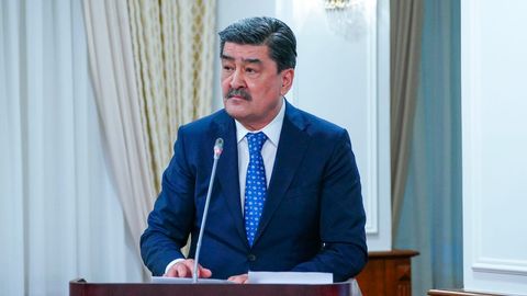 Kazakhstan expands protected natural areas to 30.9mn hectares in biodiversity conservation push&nbsp;