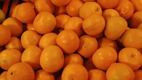 O&lsquo;zbekistonga Pokistondan olib kirilgan mandarin partiyasida zararkunanda borligi aniqlandi
