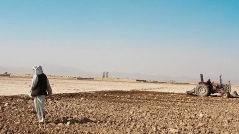 11.6mn people in Afghanistan struggle with food insecurity, says World Bank&nbsp;