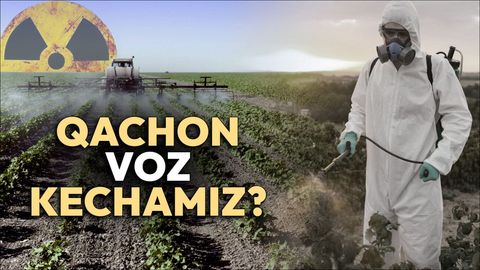 Pestitsidlarga &ldquo;o&lsquo;tirib qolish&rdquo;: O&lsquo;zbekistonda qishloq xo&lsquo;jaligini kimyoviy zaharlardan qutqarish imkoni bor(mi?)