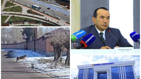 Пискентдаги аҳоли ҳудудида кезиб юрган бўрилар, фаолияти вақтинча тўхтатилган Зомин аэропорти, автомобиллар ҳаракати чекланган Tashkent City: 25 декабрнинг энг муҳим хабарлари