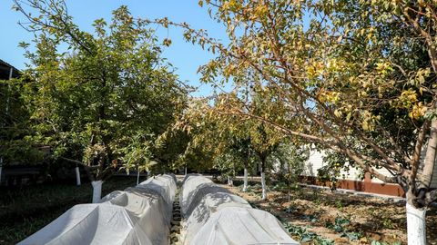 Qishloq xo&lsquo;jaligi mahsulotlarini yetishtirish tizimi takomillashtiriladi