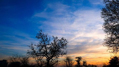 Ўзбекистонда ҳафта бошида қандай об-ҳаво бўлиши маълум қилинди