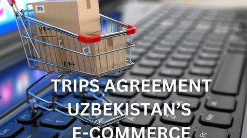 How TRIPS can transform Uzbekistan&rsquo;s e-commerce: Lessons from China