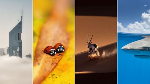 Inson va tabiat: Tokyo International Foto Awards 2024 tanlovida g&lsquo;olib bo&lsquo;lgan suratlar&nbsp;