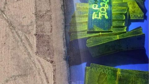 Навоийда 30 гектар ер майдонини сотмоқчи бўлган МЧЖ раҳбари ушланди