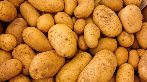 Qozog&lsquo;iston O&lsquo;zbekistonga kartoshka eksportini to&lsquo;xtatdi