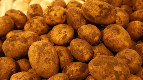 Qozog&lsquo;iston sabab O&lsquo;zbekistonda kartoshka narxi keskin oshadimi?
