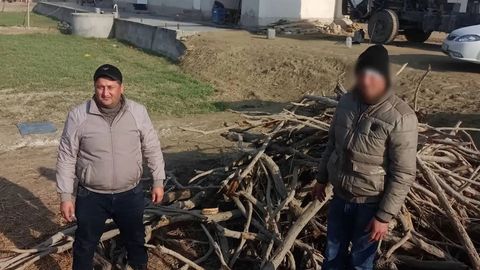Buxoroda Ekologiya inspektorlarining mashinasiga shikast yetkazgan shaxslar jarimaga tortildi (video)